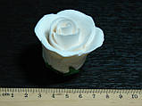 Троянда (біла) преміум., фото 4