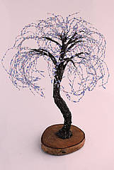 Сувенірне дерево Зимова верба