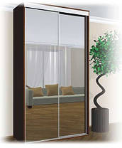 Шафа-купе 2 двері Люкс 170х60 h-225, ТМ Фенікс, фото 2