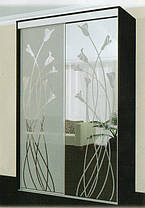 Шафа-купе 2 двері Ультра 100х60 h-240, ТМ Фенікс, фото 3