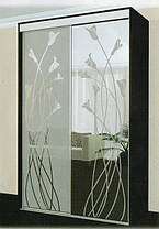 Шафа-купе 2 двері Стандарт 170х60 h-210, ТМ Фенікс, фото 3