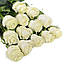 Біла троянда для урочистостей Mondial (Мондіаль), фото 5