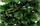 2,3 м Ялинка штучна "новорічна Сосна" зелена, фото 2
