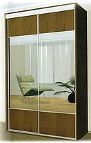 Шафа-купе 2 двері Стандарт 200х45 h-210, ТМ Фенікс, фото 4