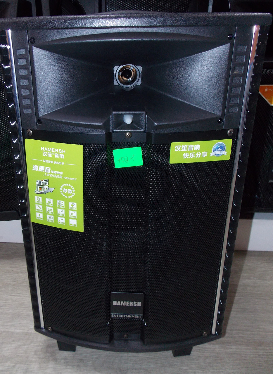 Аккумуляторная колонка Temeisheng QX 1021 с усилителем