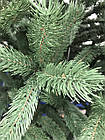Ялина Канадська Лита зелена 250 см , фото 3