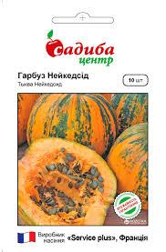 Гарбуз Нейкедсід 10 шт Садиба Центр, фото 1