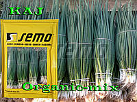Семена, Лук на зелень (на перо) КАЙ / KAJ, ТМ SEMO (Чехия), 50 грамм (ориентировочно 20 000 семян)