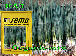 Насіння, Лук на зелень (на перо) КАЙ/KAJ, ТМ SEMO (Чехія), 50 грамів (орієнтовно 20 000 насіння)