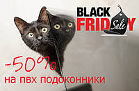 Black Friday 🐈