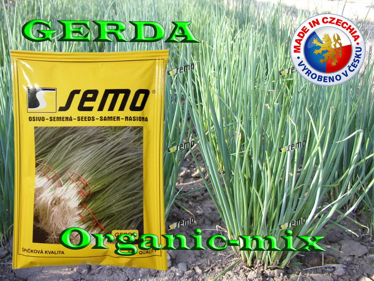 Насіння, Лук на зелень (на перо) ГЕРДА/GERDA, ТМ SEMO, 500 грамів (орієнтовно 200 000 насіння)