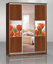 Шафа-купе 3 двері Стандарт 230х60 h-210, ТМ Фенікс, фото 4