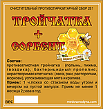 ОЧИСНИЙ ПРОТИВОПАРАЗАРНИЙ СБОР 2 В 1 ТРОЙЧАТКА + СОРБЕНТ 70 грам, фото 2