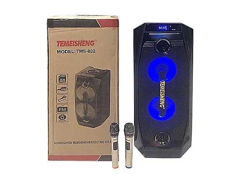 Акумуляторна колонка Temeisheng TMS-802 з підсилювачем (Sound Max), фото 1