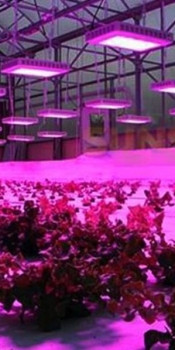 grow lights grow lights