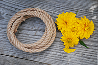 Мотузки, канати, нитки, шнури, шпагати, стрічки.