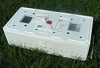 Інкубатор цифровий електронний ІБ-100 з механічним пристроєм перевороту яєць для перепелів