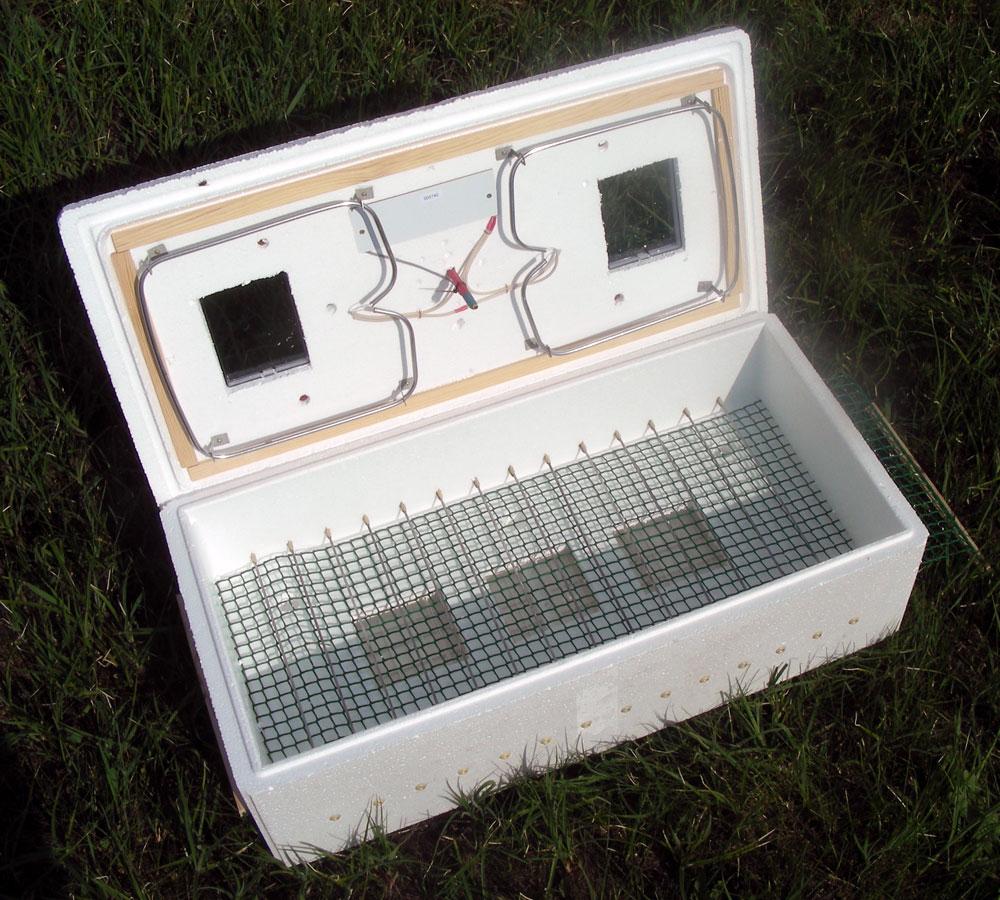 Инкубатор цифровой электронный ИБ-100 с механическим устройством переворота яиц для перепелов - фото 5 - id-p35128456