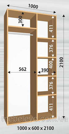 Шафа-купе 2 двері Стандарт 100х60 h-210, ТМ Фенікс, фото 1