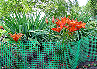Сітки садові (затінюючі, огіркові), сітки пластикові, бордюри (паркани, москітні).