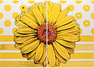 Панно Vitel Gerbera Big YL 550*400