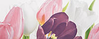 Плитка облицювальна Атем Tulip 1 PN 200*500
