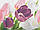 Плитка облицювальна Атем Tulip 1 PN 200x500, фото 2