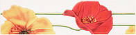 Фріз Monocolor Poppy R 275*70