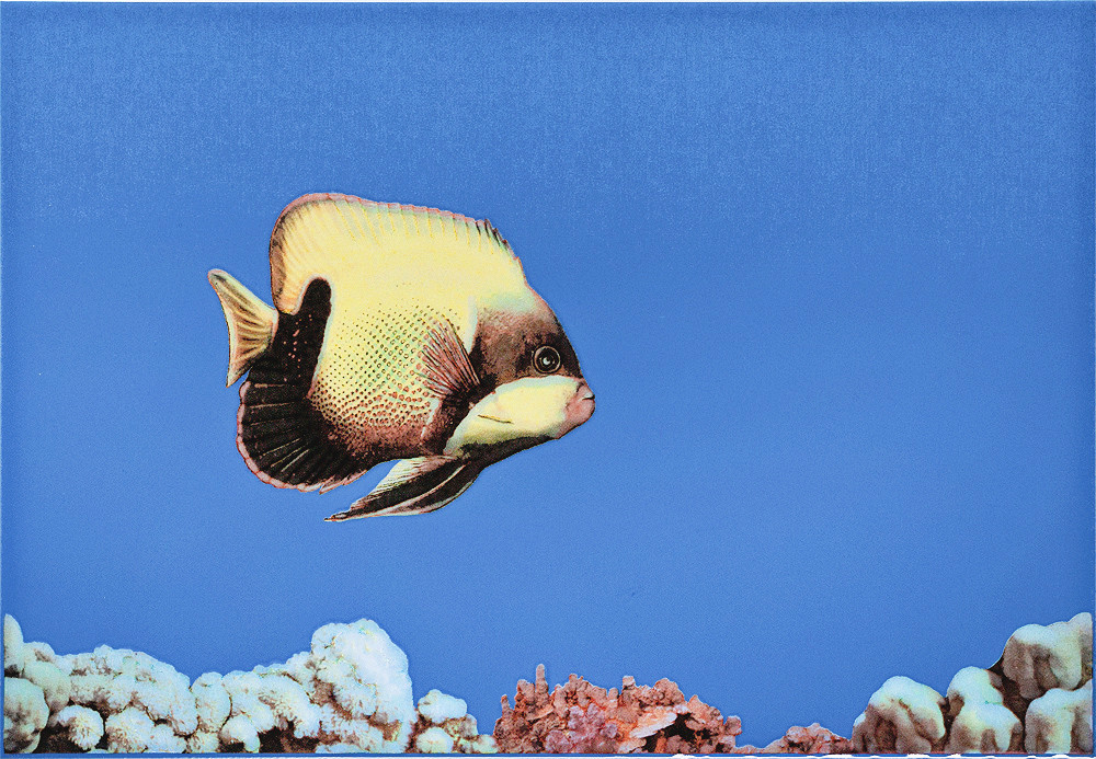 Декор Monocolor Fish 1 400*275, фото 1