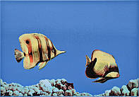 Декор Monocolor Fish 2 400*275