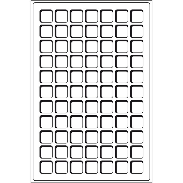 Лоток Leuchtturm для монет (комірка 22*22)