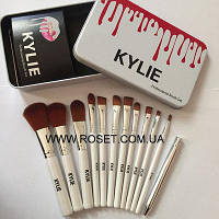 Професійний набір пензлів Kylie Professional Brush Set