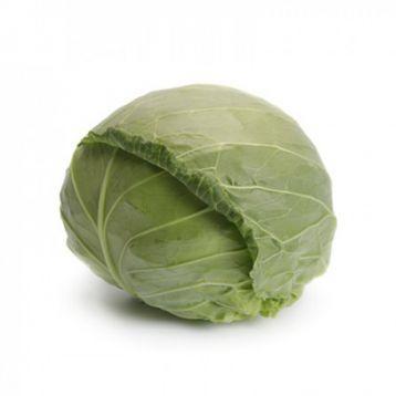 Насіння капусти білоголової ранньої Зариссима F1 (Zarissima F1) 2500 насінин, калібровані Rijk Zwaan, фото 1