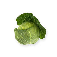 Насіння капусти білоголової ранньої Силима (Cilema ) F1, 1000сем., Rijk Zwaan