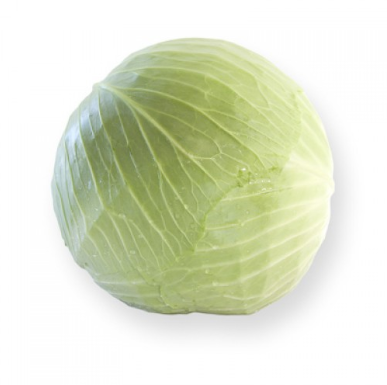 Насіння капусти білоголової середньої Топма (Topma) F1, 2500сем., каліброване, Rijk Zwaan, фото 1