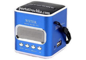 Компактна портативна колонка з USB, CardReader і FM WSTER WS-215