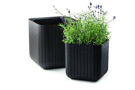 Горщики для квітів