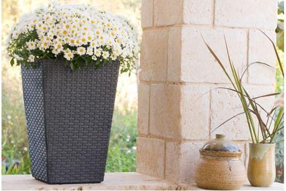 Горщик для квітів (кашпо) Keter (Кетер) Rattan Style Planter L (17192302) Антрацит