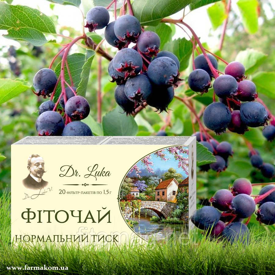 ФІТОЧАЙ НОРМАЛЬНЕ РУХУ 20ф/п