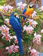 Картина за номерами Папуги на кольорах 