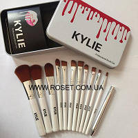 Професійний набір кистей Kylie Professional Brush Set