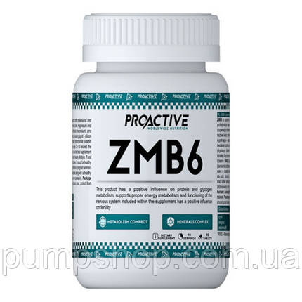 Цинк +магній + B6 ProActive ZMB6 90 таб., фото 2