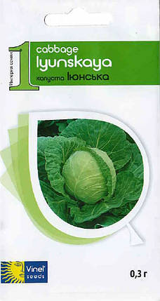Насіння капусти Червнева 0,3 г, Імперія насіння, фото 1