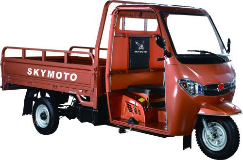 Трицикл SKYMOTO HERCULES -200 J-3 - фото 1 - id-p71410143