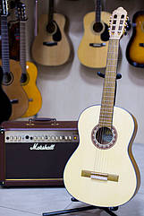 Гітара класична Valencia VC304