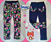 Лосини для дівчинки з сердечками та маки Мод.0532, 4 кольори, Рест 110