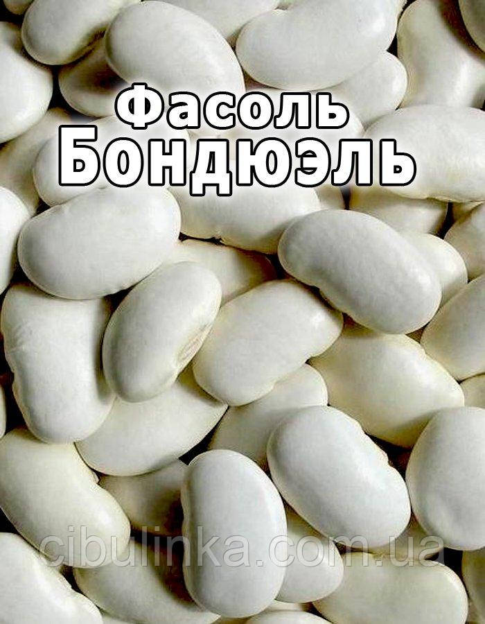 Квасоля Бондюель 100 г, фото 1