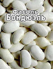Насіння Фасоль зернова Бондюель/1 кг
