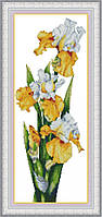 Набір для вишивки хрестом Жовті іриси OLANTA VN-047