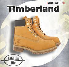 Чоловічі черевики Timberland